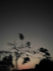 1185140