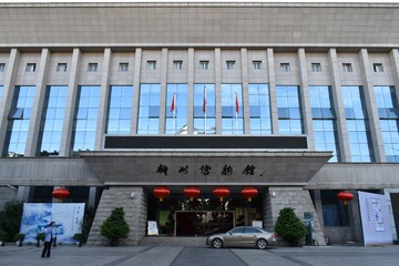 1.柳州 (66)