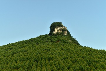 5.來賓 (2)
