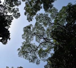 廣西柳州龍潭公園 (9)