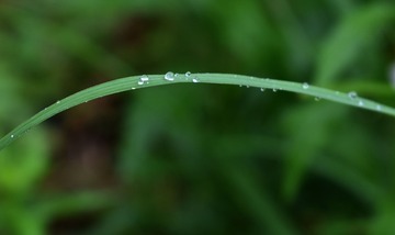 江西贛州