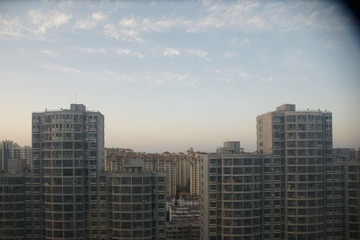 2943531