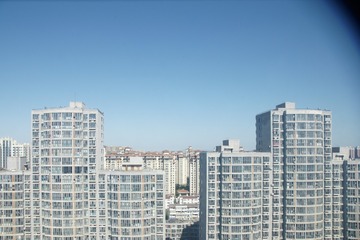 2943526