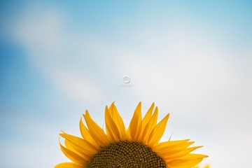 1630570