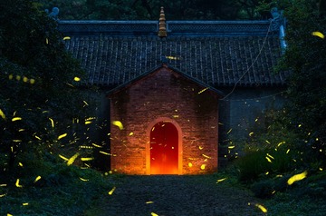 志公碑萤火虫