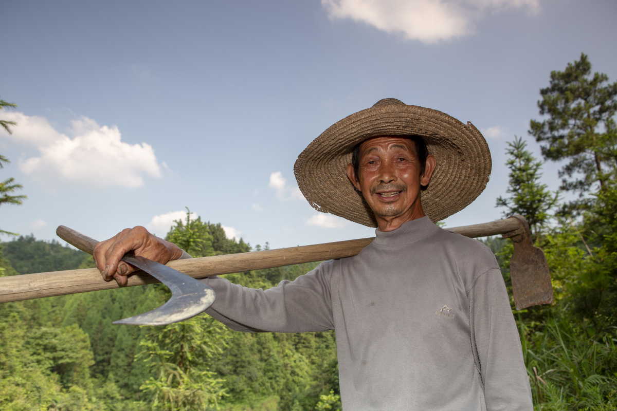 我的锄头生锈了