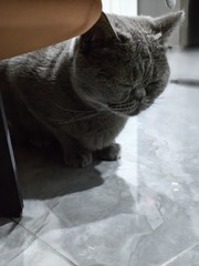 1000003911