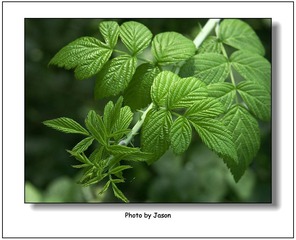 PICT0126new
