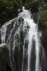 _DSC4194