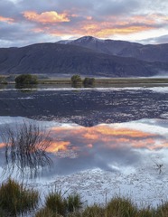 _DSC4277_1