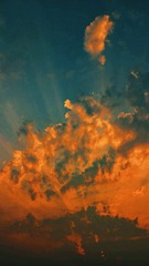 6CEC3B68-9A0A-40C9-90F2-F5BEDD9210AD/L0/001