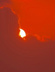 B8385296-ADCF-4E95-8C92-BA9385487BB0/L0/001