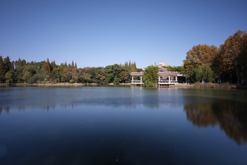 1295601
