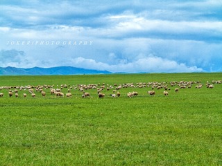 IMG_4974_??-01