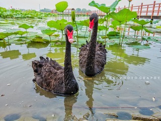 IMG_5141_??-01