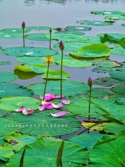 IMG_5057_??-01