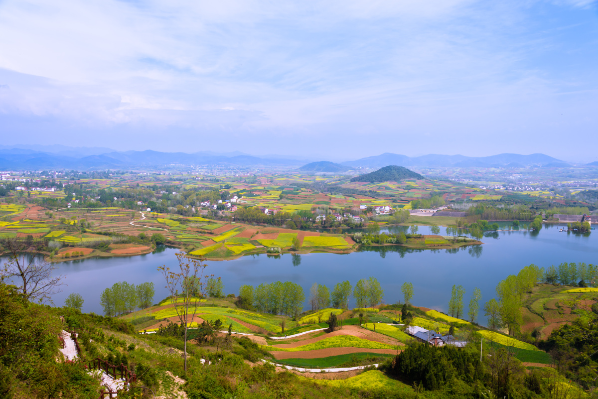 西安洋县油菜花