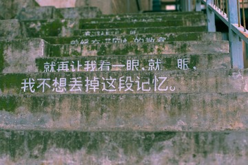 1064647