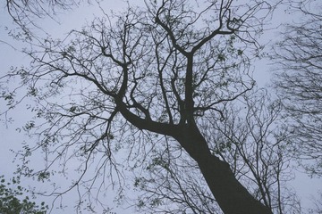 0F7B4D5C-248B-422B-A6CB-E5D60E9B40BA/L0/001