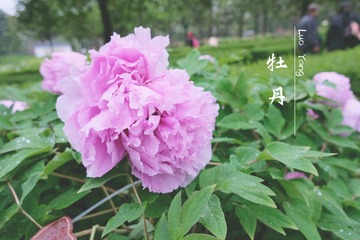 C04E61E6-929A-4934-AE61-D954117DE7CD/L0/001