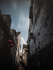 P1010260