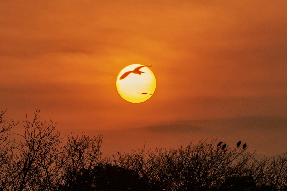 落霞与孤鹜齐飞