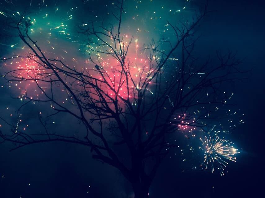 刹那的绽放<br />
耗尽了我的一生<br />
我是最耀眼的瞬间<br />
我将熄灭永远不再回来