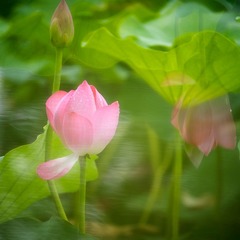 001