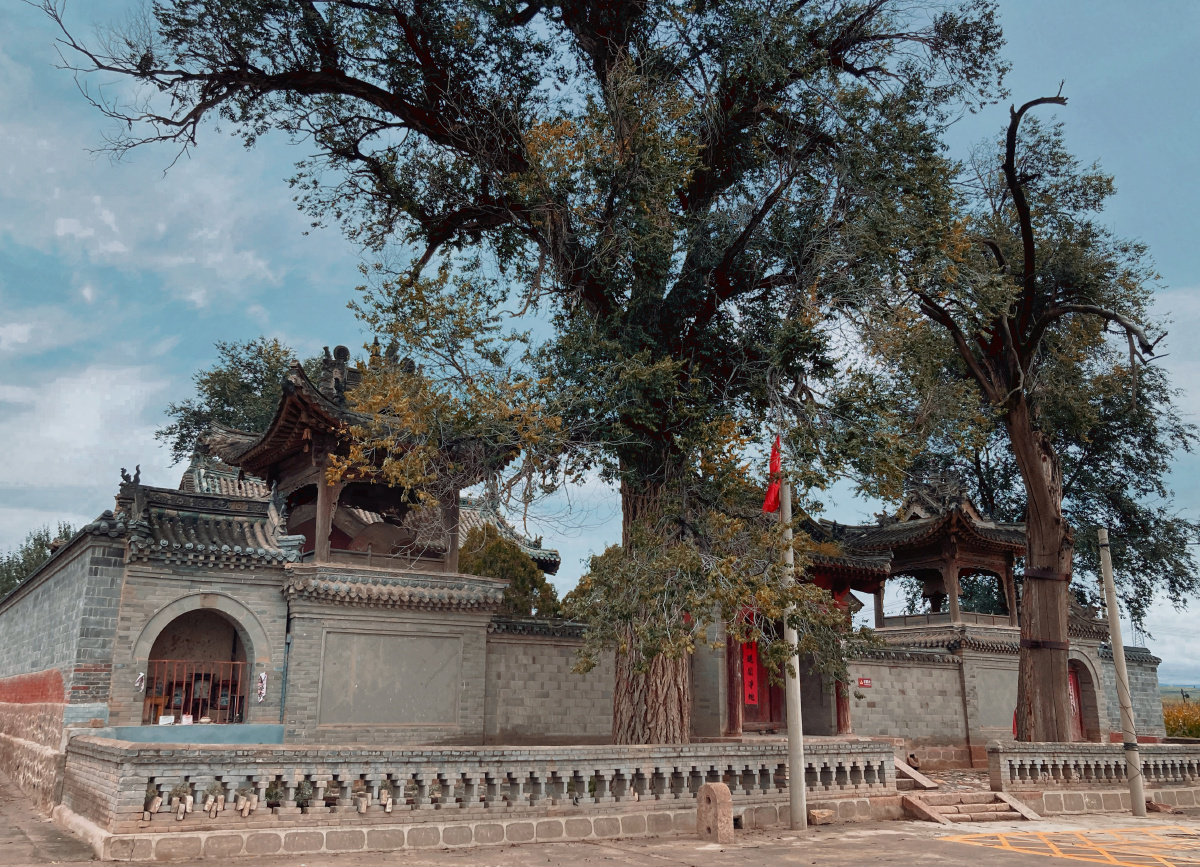 山西繁峙县砂河镇西沿口村北的三圣寺,旧称三皇庙,藏在一大片田地间