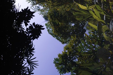 DF093BF1-462B-4E0D-A329-E5F1D25C9616/L0/001