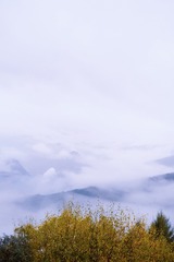 CCF10F39-CDD0-45EF-9C00-B078EABF49CC/L0/001