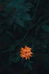 C0CA37E5-C20B-41EF-B115-D2E80112235D/L0/001
