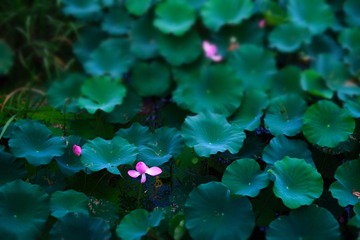 2FF34239-CB08-48D9-89F6-816C3984AC9E/L0/001