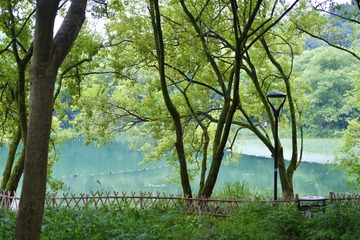 AE5218B0-0CBA-4E71-B925-4A831DC09CE5/L0/001