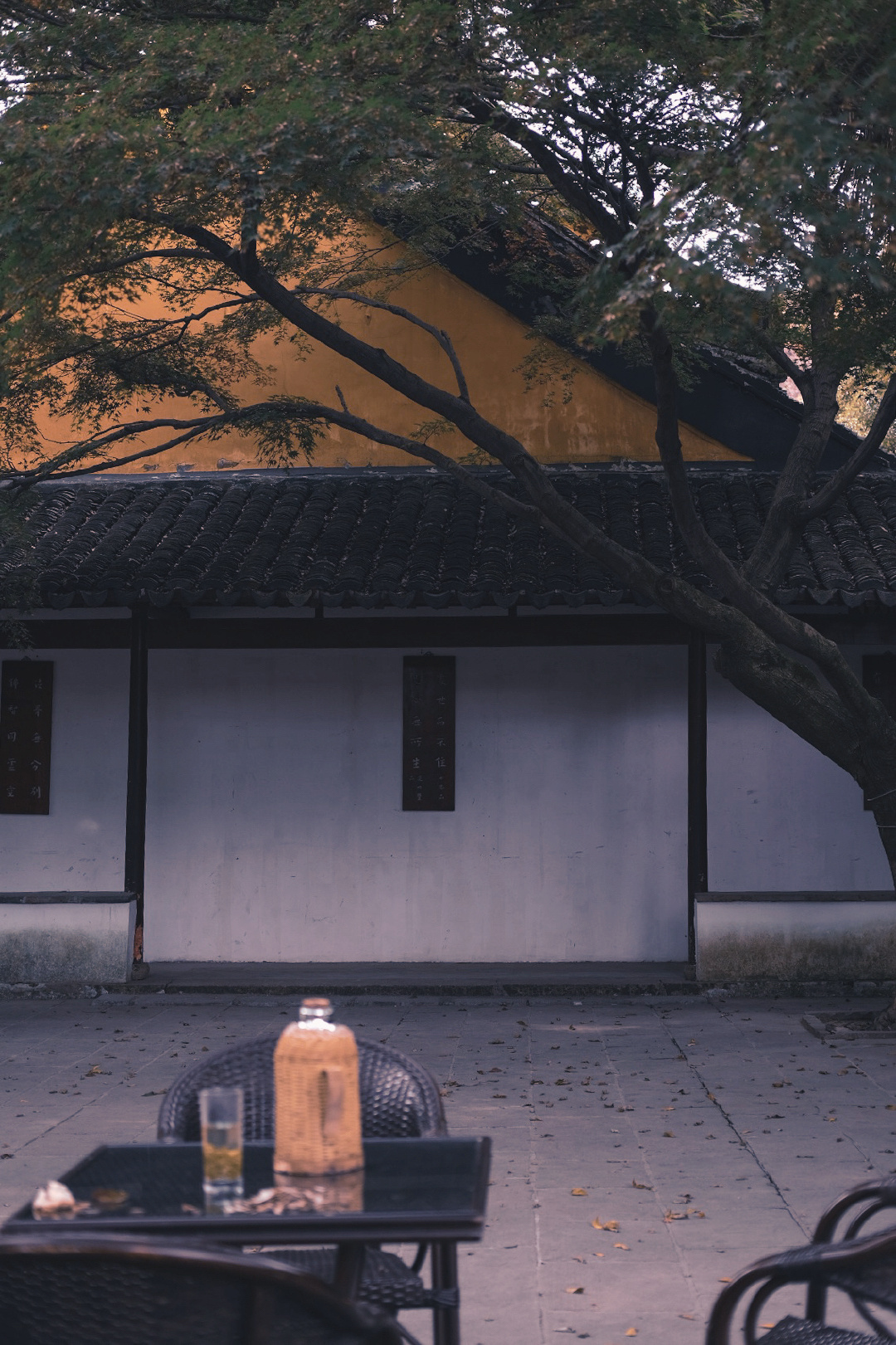常熟日常兴福寺喝茶吃蕈油面