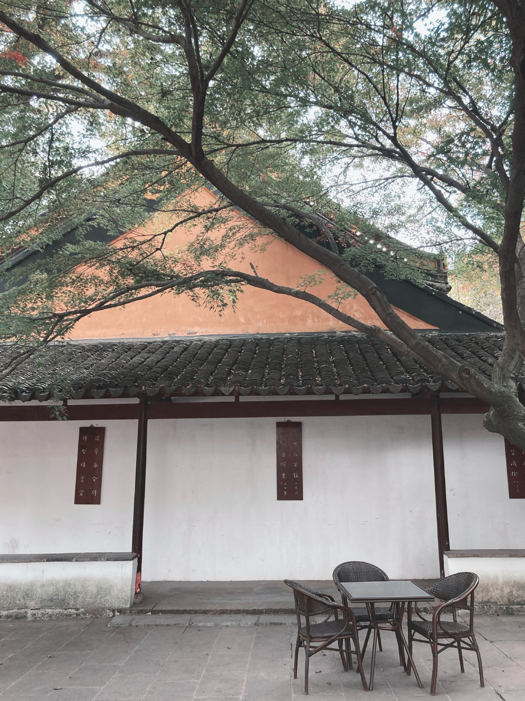 常熟日常兴福寺喝茶吃蕈油面