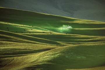 高山牧场
