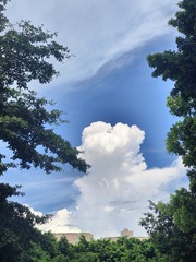 1000056489
