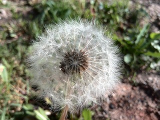 IMG_20160530_184115