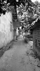 IMG_20160529_182237