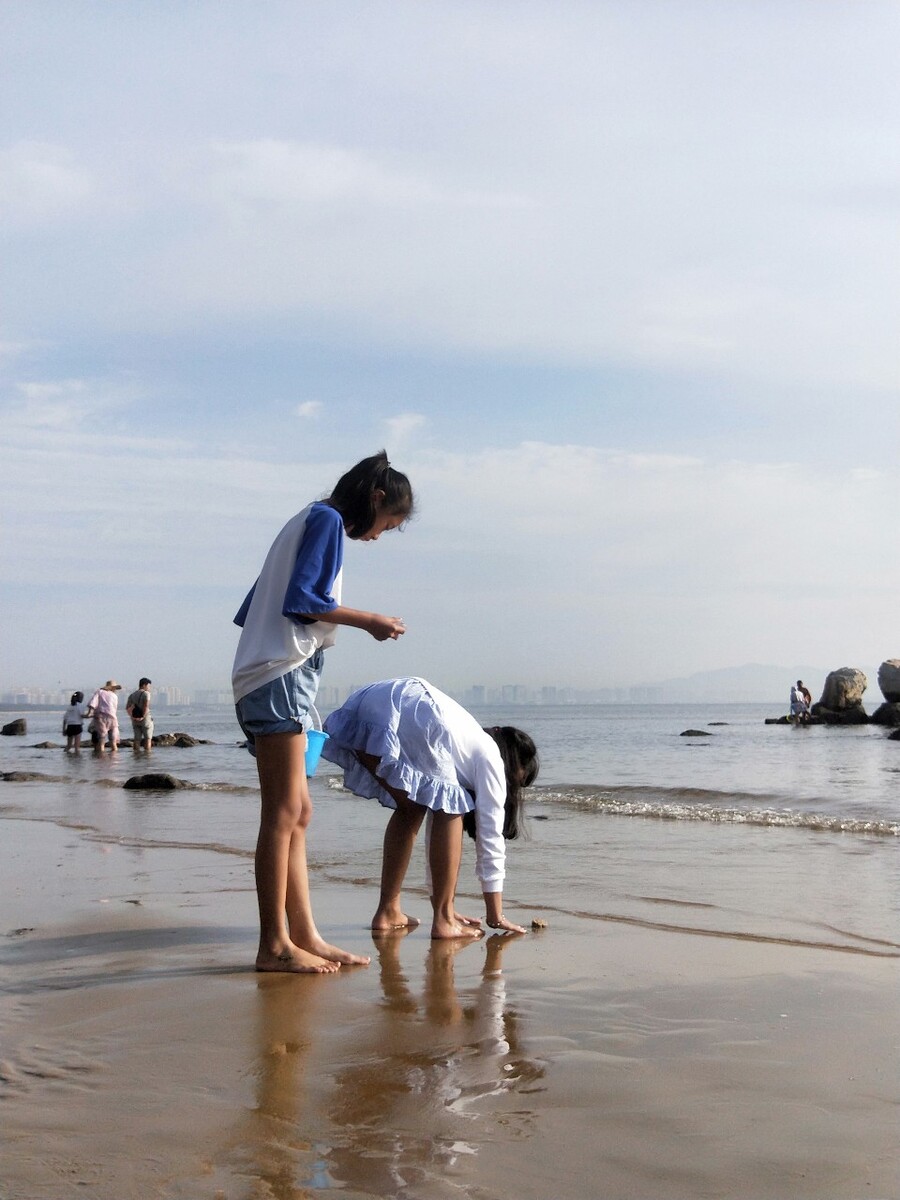 清晨赶海