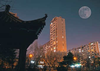 95574