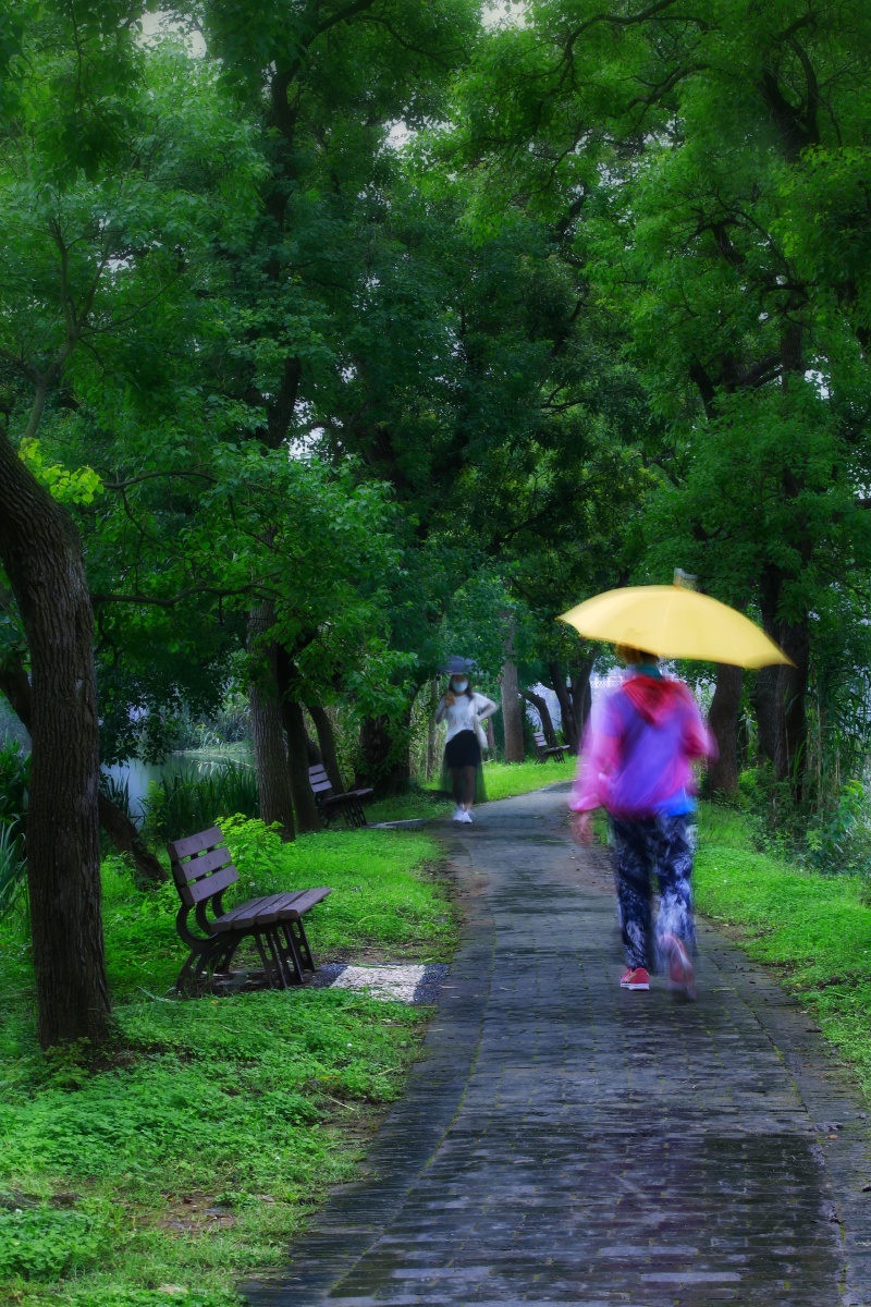 雨中散步