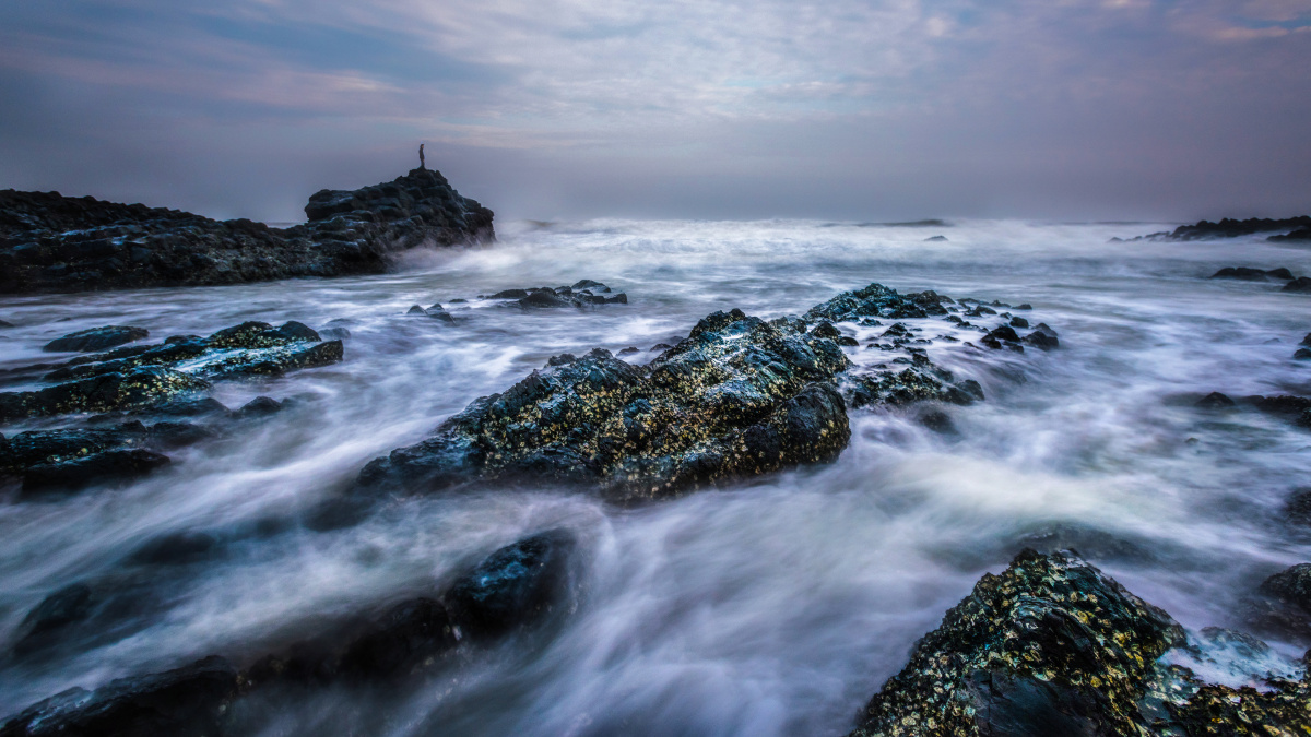 蒜蓉粉丝蒸扇贝 - 淡然891 - 图虫网 - 最好的摄