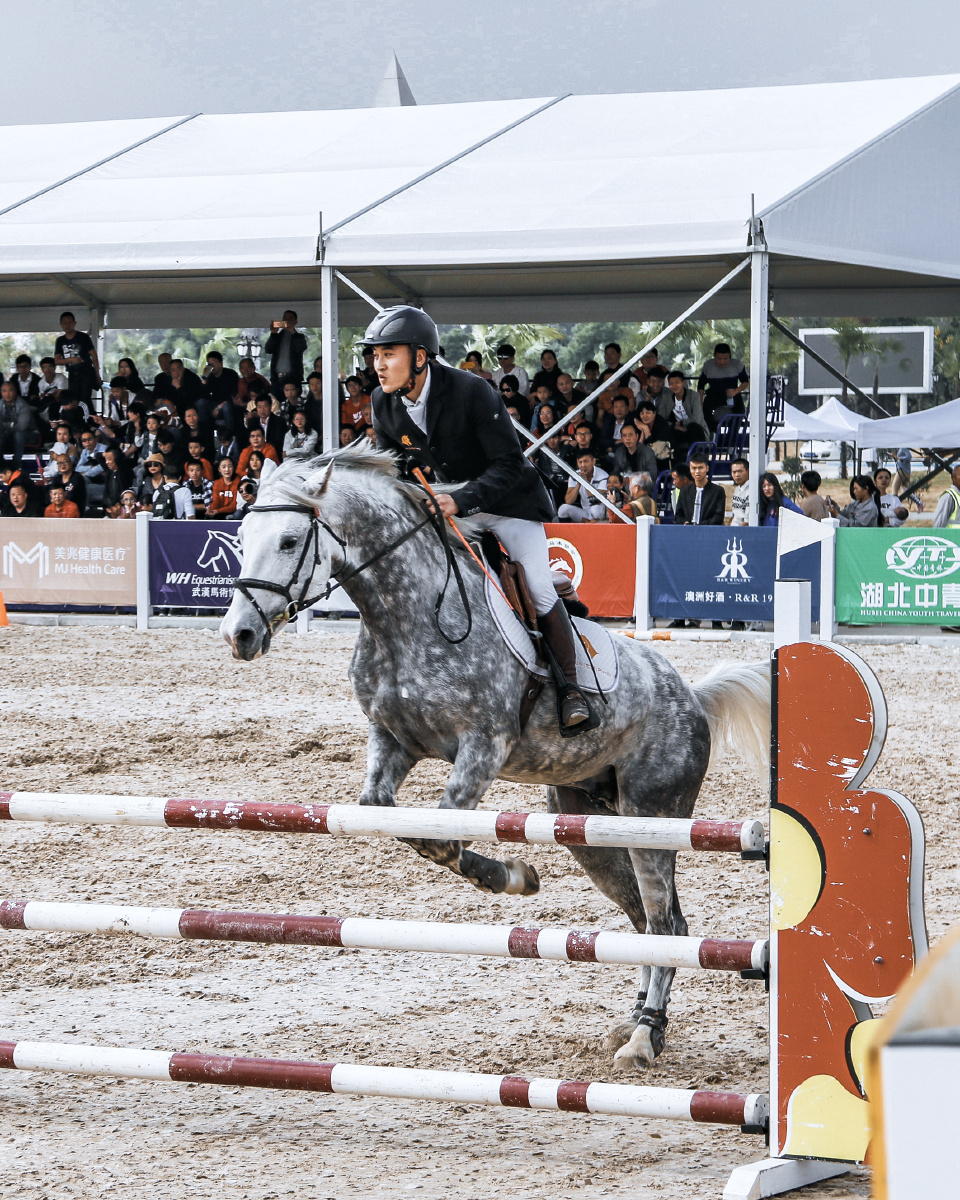 马术比赛对马有什么要求