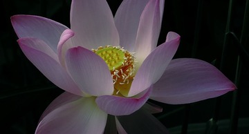 IMG_7890_3_1
