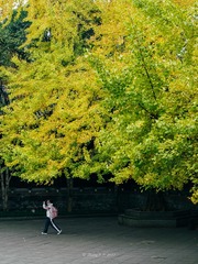 25CA3E89-EBA5-47D2-94B3-083E04F3CB02/L0/001