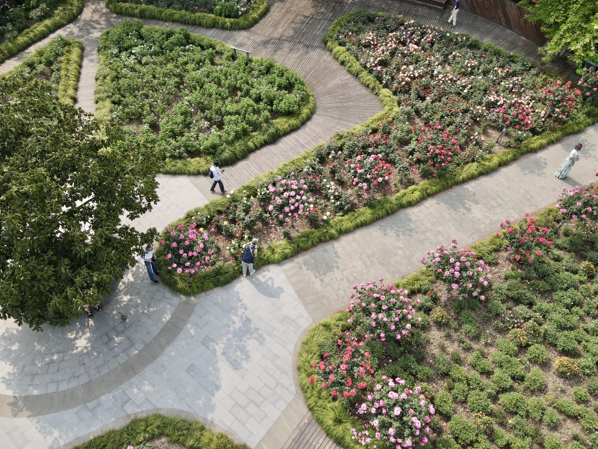 俯视花园 - 创作者156647963032092 - 图虫