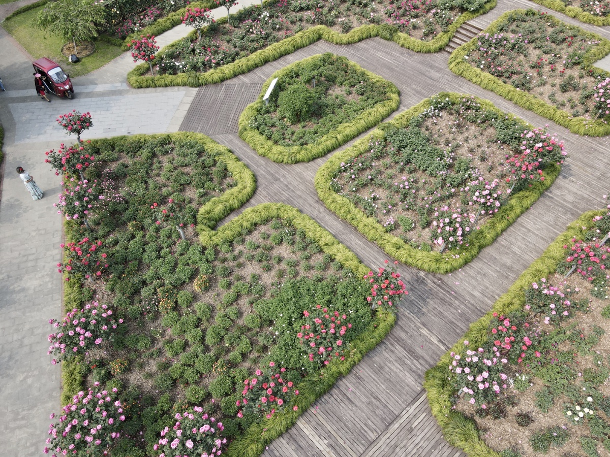 俯视花园 - 创作者156647963032092 - 图虫