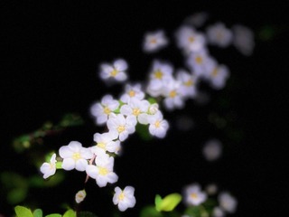 1BDDBBD8-AD13-4D54-8DF8-E4671718B3B3/L0/001